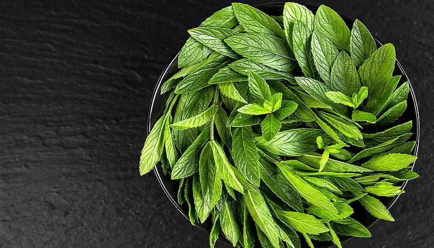 What is peppermint?
