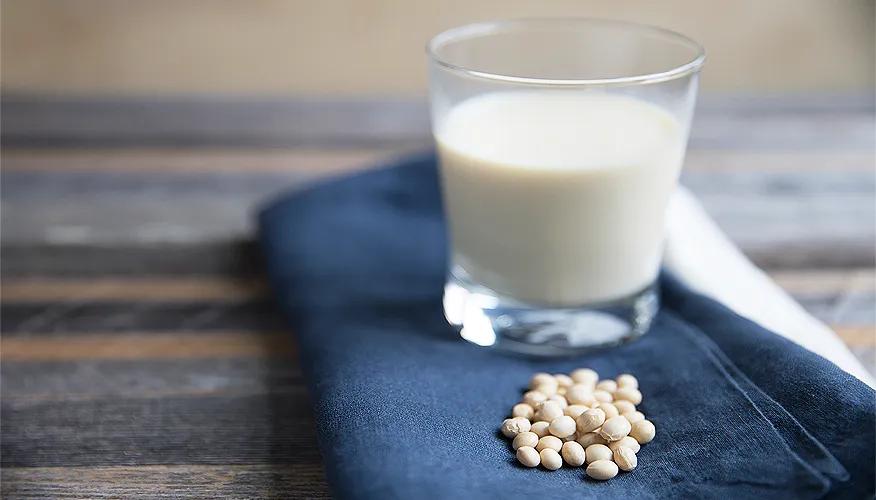 What is soy milk?