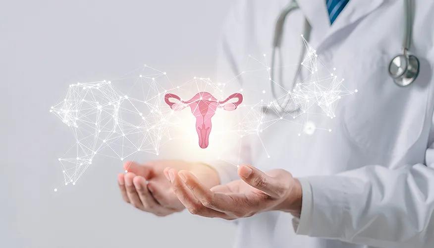 Estrogen and skin health