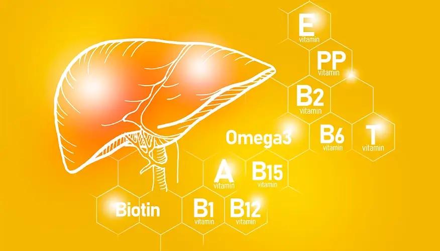 The relationship between vitamins and liver function