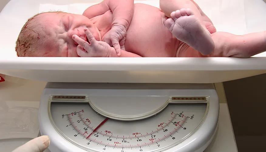 Birth Weight