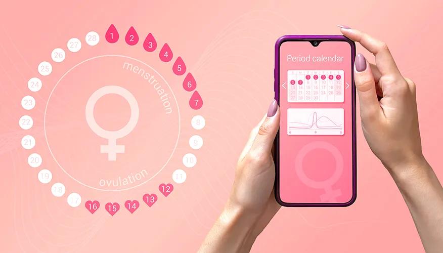 Diabetes and Menstrual Cycles