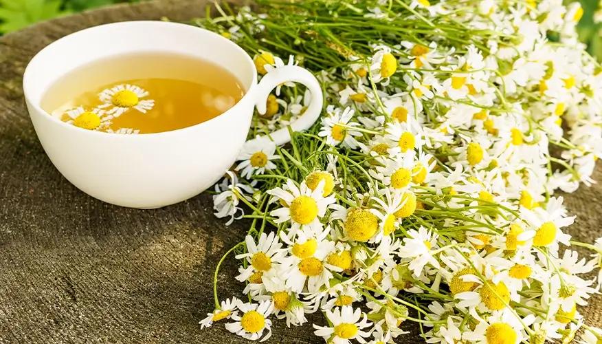 Chamomile Tea