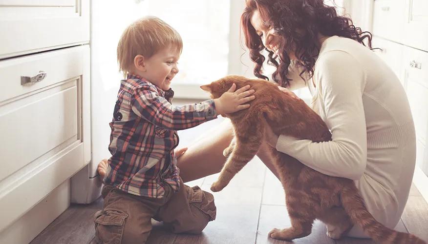 Don’t Fret, Your Pet And Your Baby Can Be Best Friends