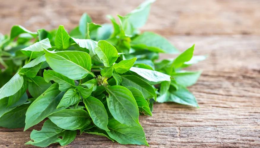Thai Basil