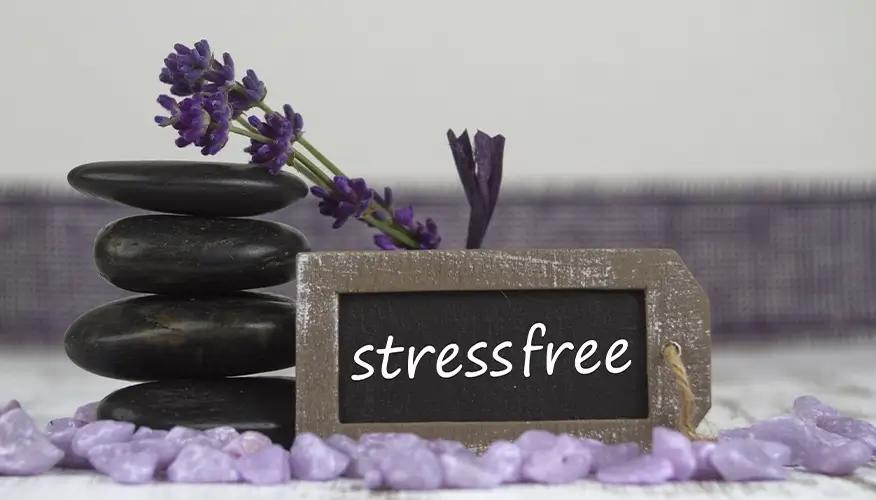 Popular herbal supplements for stress and anxiety