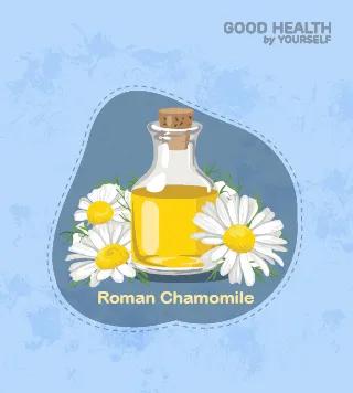 Roman Chamomile