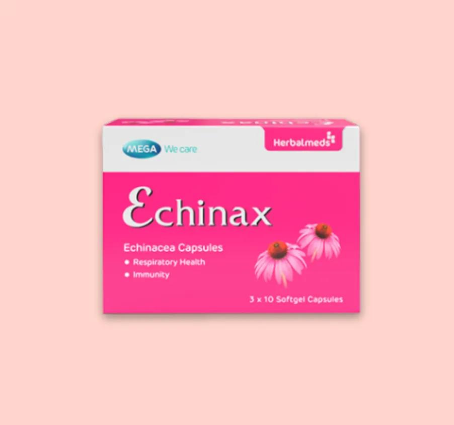 ECHINAX 01